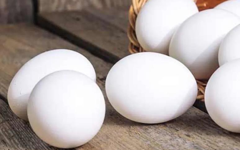 Are Broiler Eggs Good for Your Health or Not?