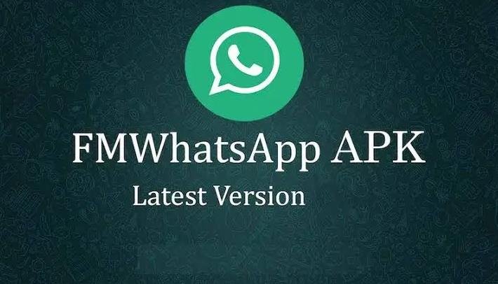 The Ultimate Guide to FM WhatsApp New Version