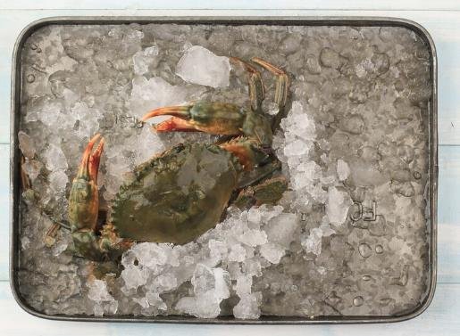 How to Steam Dungeness Crab: A Step-by-Step Guide