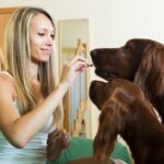 Why Do Dogs Love Being Petted? Unveiling the Ultimate Reason!