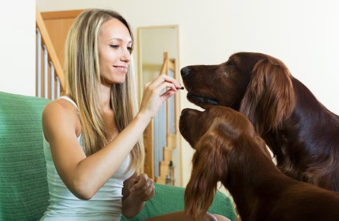 Why Do Dogs Love Being Petted? Unveiling the Ultimate Reason!
