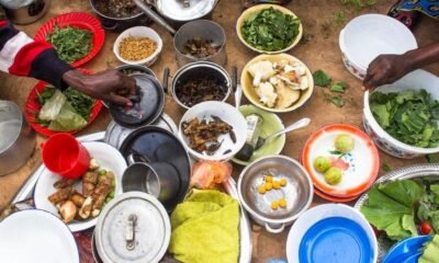 Guyana hosts regional conference on food security and nutrition