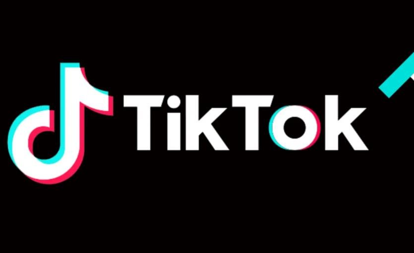 The TikTok Tumult: Adapting Your Social Media Strategy Amidst Uncertainty
