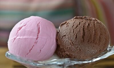 Horse Ice-Cream: A Healthier Alternative to Cow Gelato?