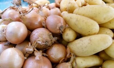 The Surprising Role of Onions and Potatoes in Nuclear Bomb Testing