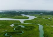 Field Museum Scientists Uncover Amazon’s Hidden Biodiversity