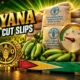 Guyana FAO regional conference food import deadline