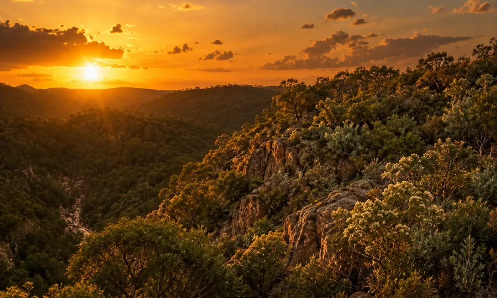 Australia 49 ecosystem threats three shared jobs