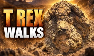 first adult T rex trackway North Dakota footprints